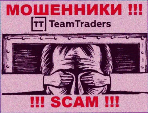 Лучше избегать Team Traders - рискуете остаться без вкладов, ведь их работу абсолютно никто не регулирует