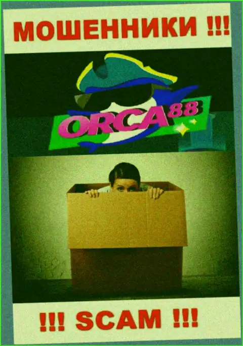 Начальство Orca88 засекречено, на их интернет-сервисе о себе информации нет