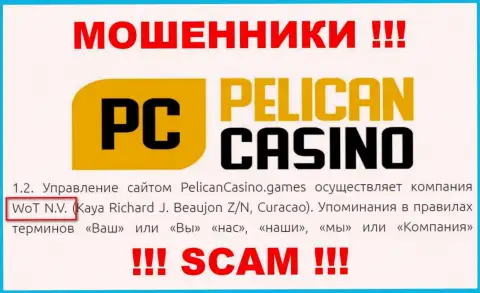 Юридическое лицо организации PelicanCasino Games - это ВоТ Н.В.
