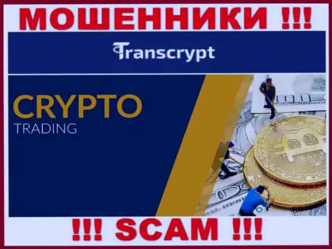 TransCrypt Eu - это мошенники !!! Род деятельности которых - Крипто трейдинг