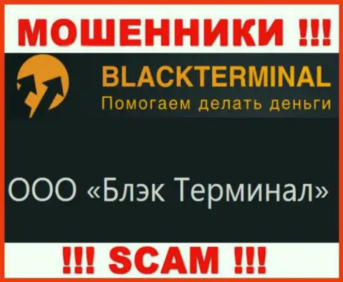 На официальном информационном ресурсе BlackTerminal сообщается, что юридическое лицо компании - ООО Блэк Терминал