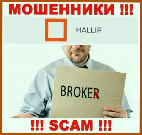 Сфера деятельности интернет-воров Hallip Com - Broker, но знайте это разводняк !!!