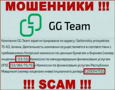 Не советуем доверять организации GG Team, хотя на сайте и показан ее лицензионный номер