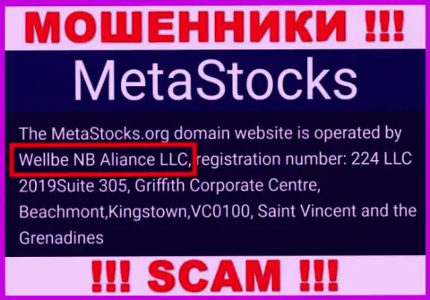 Юридическое лицо компании MetaStocks - это Wellbe NB Aliance LLC, информация взята с официального интернет-сервиса
