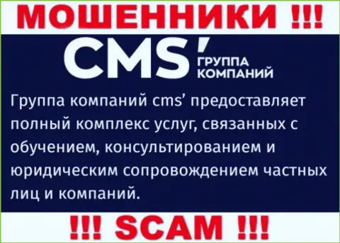 Не советуем взаимодействовать с мошенниками CMS-Institute Ru, род деятельности которых Consulting