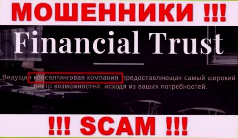 Основная деятельность Financial-Trust Ru - это Consulting, будьте очень бдительны, работают преступно