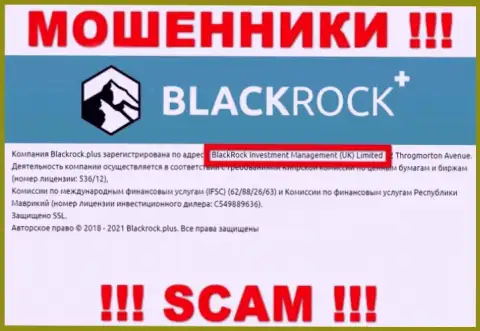 Руководством Black Rock Plus оказалась компания - БлэкРок Инвестмент Менеджмент (УК) Лтд