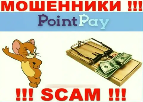 Point Pay - это МОШЕННИКИ, не верьте им, если вдруг станут предлагать разогнать вклад