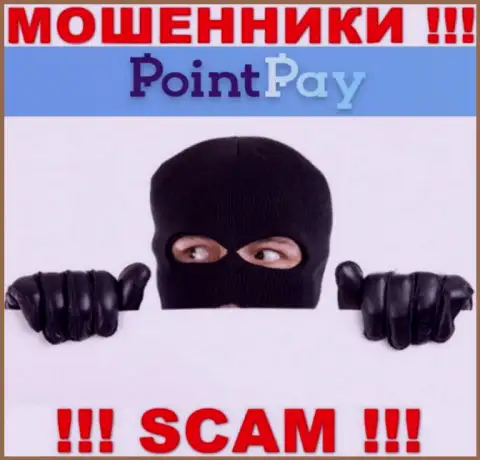 О руководстве преступно действующей компании PointPay информации не отыскать