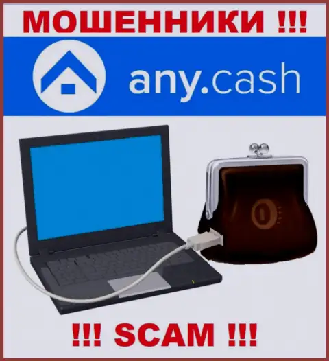 AnyCash - это МОШЕННИКИ, сфера деятельности которых - Цифровой онлайн кошелек