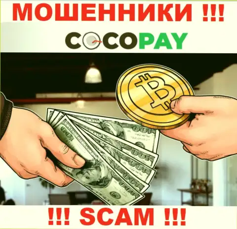 Не рекомендуем доверять вложенные денежные средства Coco Pay Com, ведь их направление работы, Обменник, капкан
