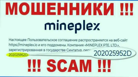 Рег. номер очередной противоправно действующей компании MinePlex Io - 202025952D