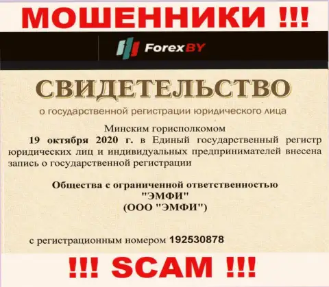 Регистрационный номер противозаконно действующей компании Forex BY - 192530878