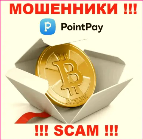 Point Pay LLC ни рубля Вам не позволят вывести, не покрывайте никаких налоговых сборов