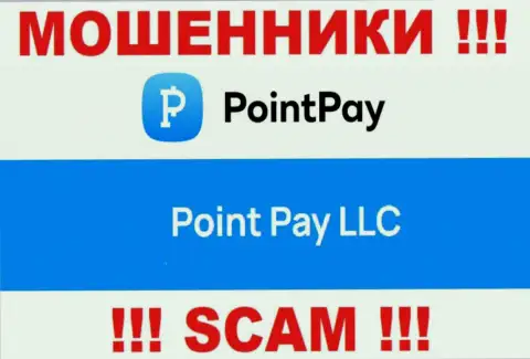 Организация Поинт Пэй ЛЛК находится под крылом организации Point Pay LLC