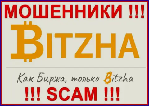 Bitzha24 Com - это МОШЕННИКИ !!! Финансовые средства не выводят !!!