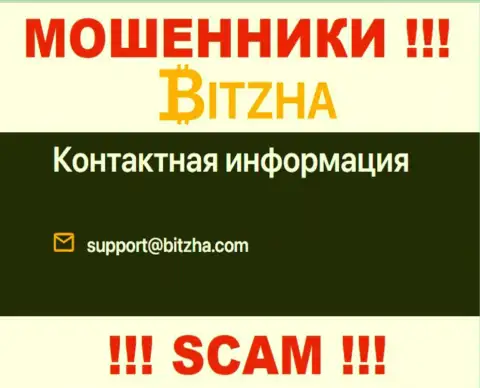 Адрес электронного ящика махинаторов Bitzha 24, информация с официального сайта