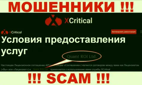 Мошенническая компания Х Критикал в собственности такой же противозаконно действующей организации Куант РОИ ЛТД