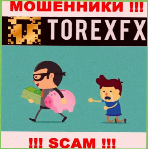 Весьма опасно совместно сотрудничать с дилинговой конторой TorexFX Com - надувают валютных игроков