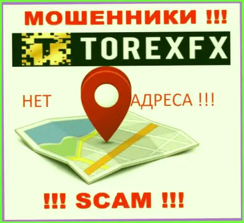Torex FX не показали свое местонахождение, на их web-сервисе нет сведений о юридическом адресе регистрации