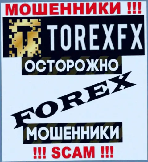 Сфера деятельности TorexFX: Forex - хороший заработок для internet воров